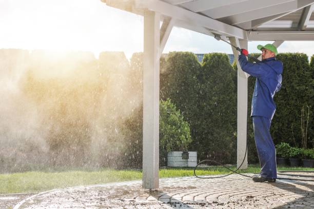 Best Solar Panel Cleaning  in Meadowbrook, CA